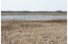 Property photo 7 - 194.67 Acres Offered in 2 Tracts